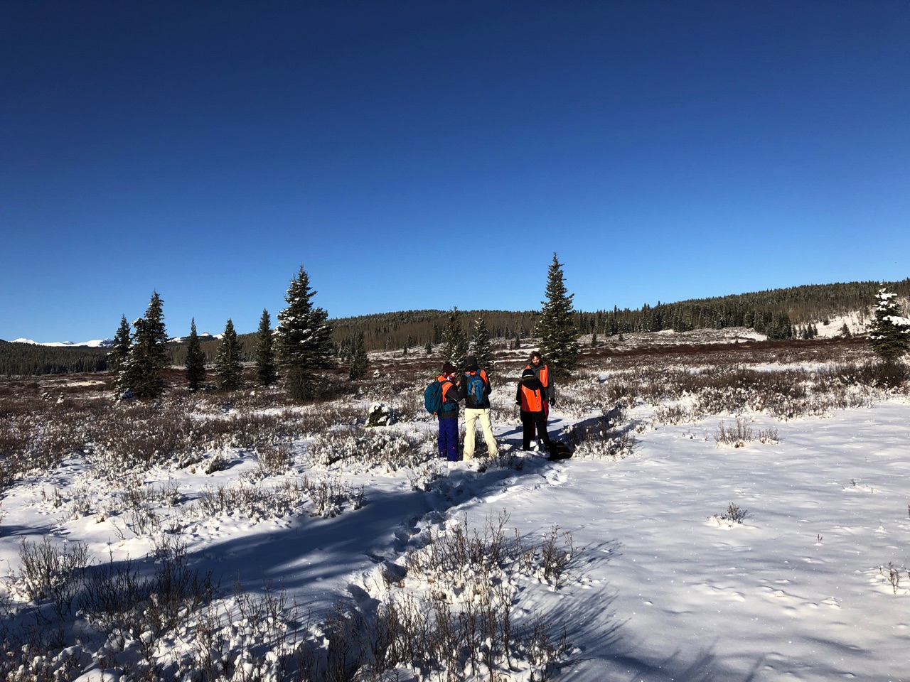 Students studying wetlands
